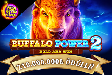 Buffalo Power 2: Hold and Win